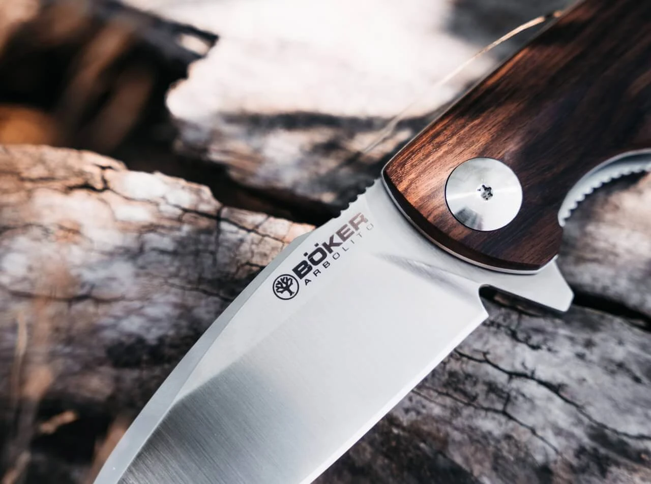 Folder Nahuel Guayacan 7 Folder Nahuel Guayacan – Bild 5