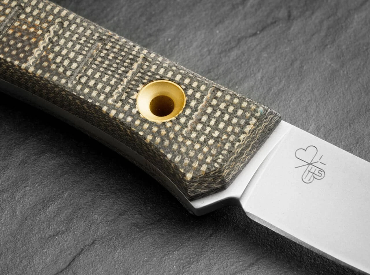 Bark Beetle 11 Bark Beetle – Bild 9