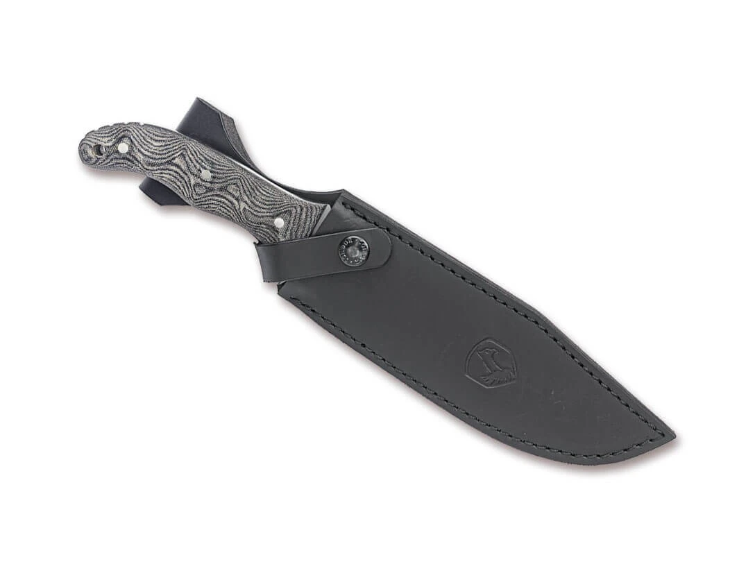 Condor Belgian Bowie 4 Condor Belgian Bowie – Bild 2