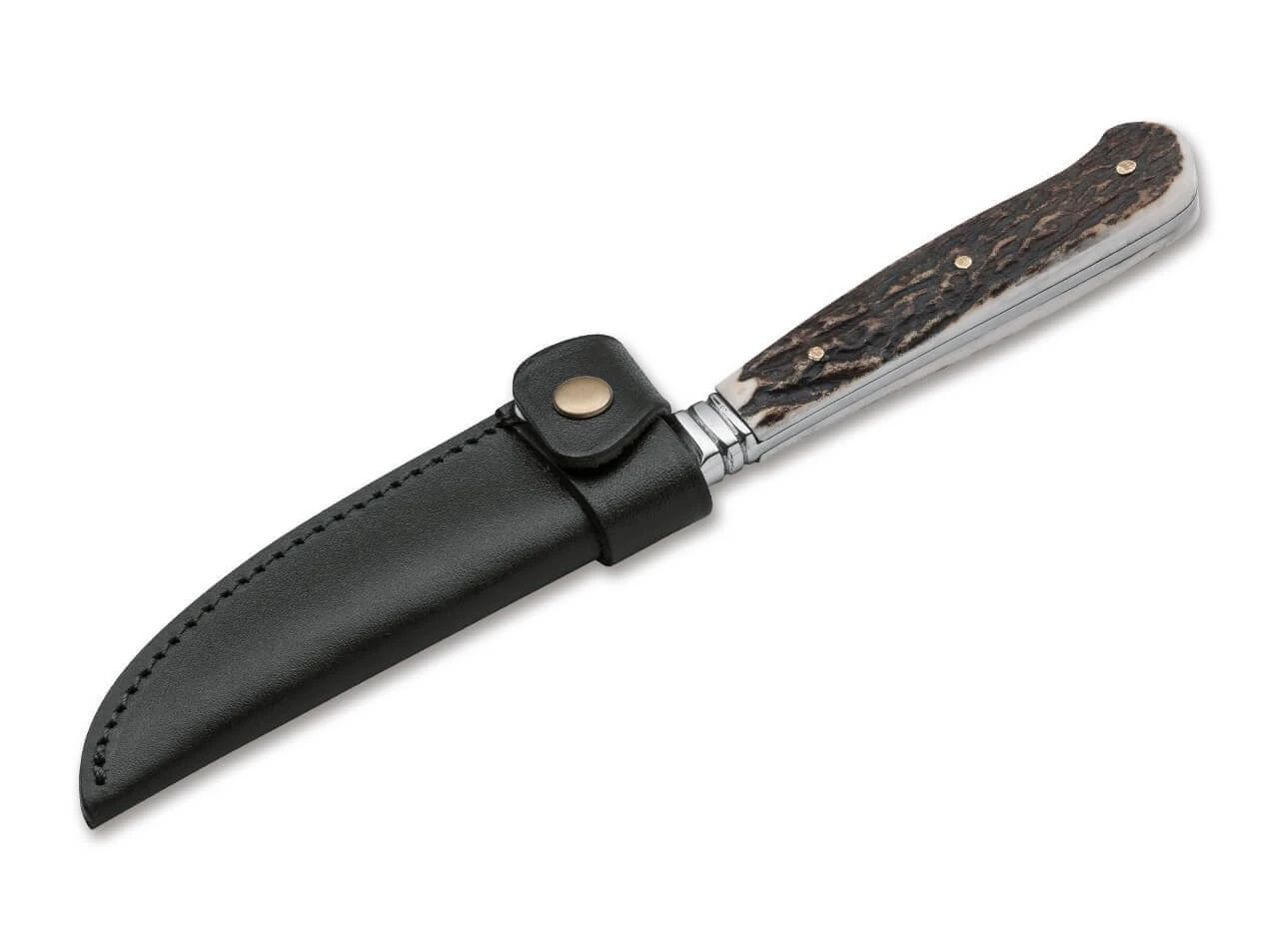 Nicker Hirschhorn 4 Nicker Hirschhorn – Bild 2