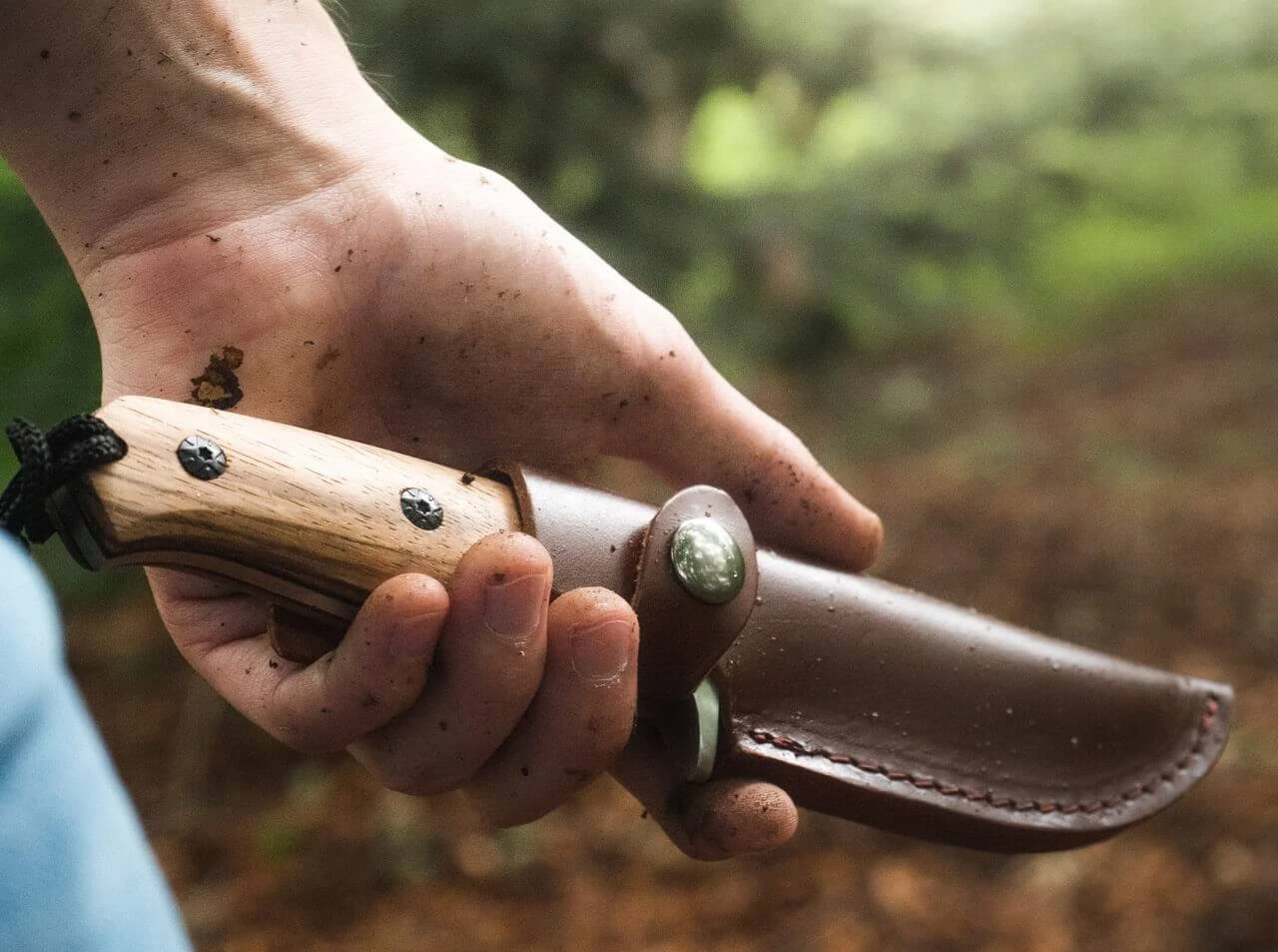 Magnum Zebra Drop 9 Magnum Zebra Drop – Bild 7